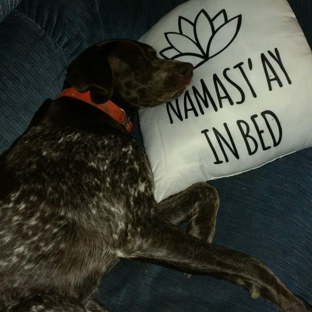 Meet your Posher, Heather